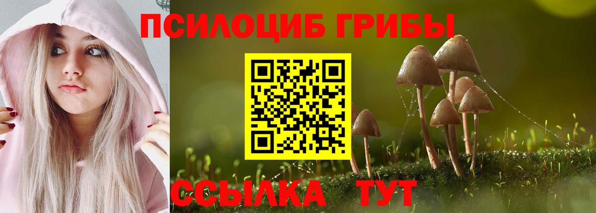 Ульяновск  Галлюциногенные грибы мицелий  Галлюциногенные грибы мухоморы  Вход с VPN 
